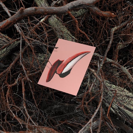 BIENVENUE STUDIOS〈SMALL PRINT COLLECTION_N° 8 GENTLE KNIFE〉（5PCS）