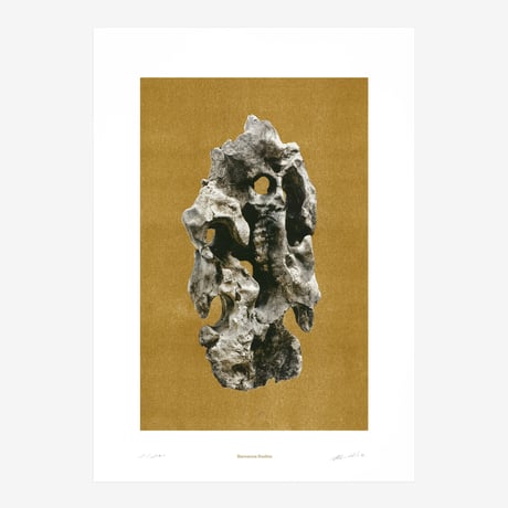 BIENVENUE STUDIOS〈LIMITED PRINTS_VIEWING STONE〉（5TYPES）