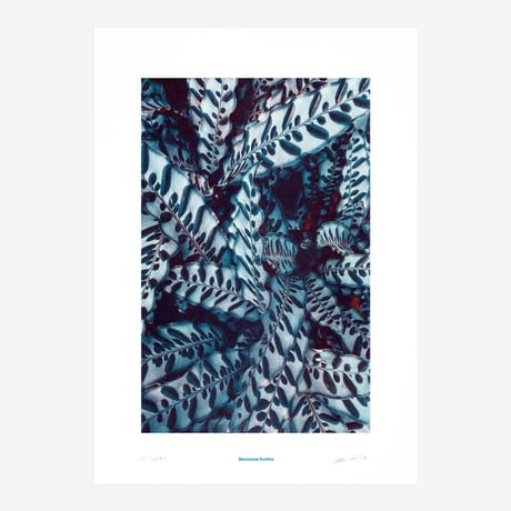 BIENVENUE STUDIOS〈LIMITED PRINTS_PRAYING HANDS〉（5TYPES）