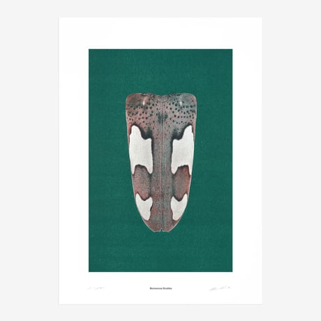 BIENVENUE STUDIOS〈LIMITED PRINTS_IRIDESCENCE〉（5TYPES）
