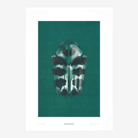 BIENVENUE STUDIOS〈LIMITED PRINTS_IRIDESCENCE〉（5TYPES）