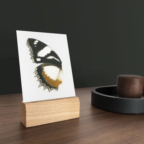 BIENVENUE STUDIOS〈WOOD CARD HOLDER_SHORT_MEDIUM〉