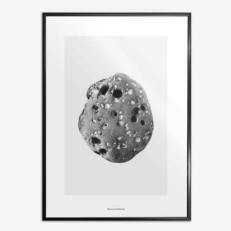 BIENVENUE STUDIOS〈LIMITED PRINTS_PACIFIC MARKS〉（5TYPES）