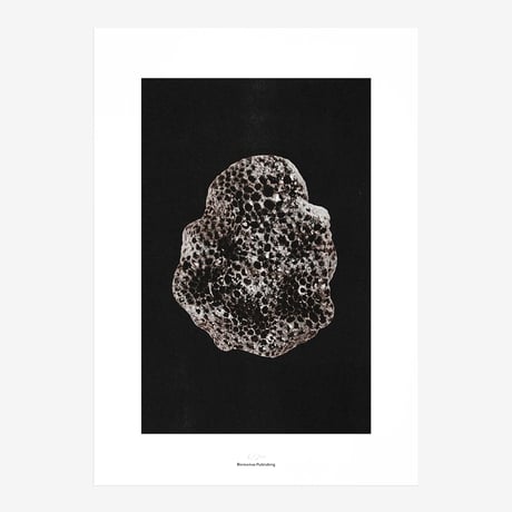 BIENVENUE STUDIOS〈LIMITED PRINTS_ORIGINS〉（5TYPES）
