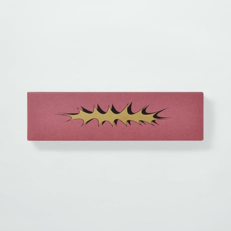 YUI TAKADA〈PEN CASE〉（12TYPES）