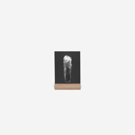 BIENVENUE STUDIOS〈WOOD CARD HOLDER_SHORT_SMALL〉