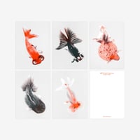 BIENVENUE STUDIOS〈SMALL PRINT COLLECTION_N° 2 MORBID BEING〉（5PCS）