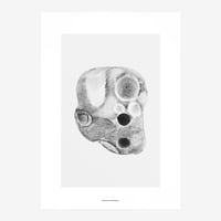 BIENVENUE STUDIOS〈LIMITED PRINTS_PACIFIC MARKS〉（5TYPES）
