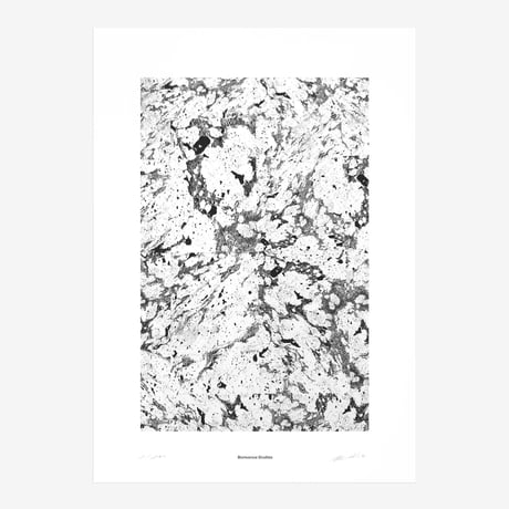 BIENVENUE STUDIOS〈LIMITED PRINTS_BLACK REFLECTION〉（5TYPES）