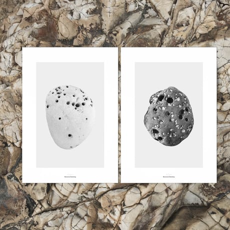 BIENVENUE STUDIOS〈LIMITED PRINTS_PACIFIC MARKS〉（5TYPES）