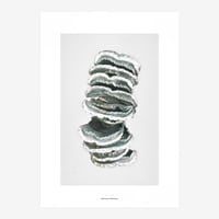 BIENVENUE STUDIOS〈LIMITED PRINTS_QUIET WATER〉（5TYPES）