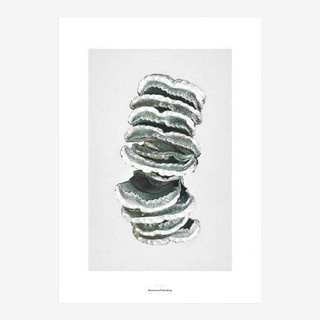 BIENVENUE STUDIOS〈LIMITED PRINTS_QUIET WATER〉（5TYPES）