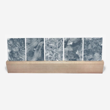 BIENVENUE STUDIOS〈WOOD CARD DISPLAY_LONG_LARGE〉