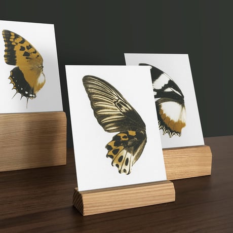 BIENVENUE STUDIOS〈WOOD CARD HOLDER_SHORT_MEDIUM〉
