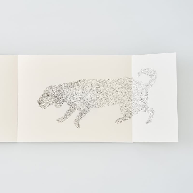 ネズミと犬の紙 IZUMI SHIOKAWA 〈ONE〉 | PAPIER LABO.