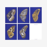 BIENVENUE STUDIOS〈SMALL PRINT COLLECTION_N° 14 MOON FLUTTERING〉（5PCS）