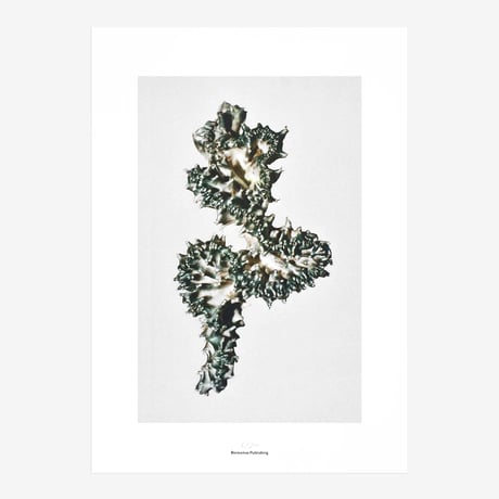 BIENVENUE STUDIOS〈LIMITED PRINTS_QUIET WATER〉（5TYPES）