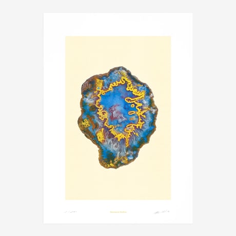 BIENVENUE STUDIOS〈LIMITED PRINTS_MOUNTAIN TREASURES〉（5TYPES）