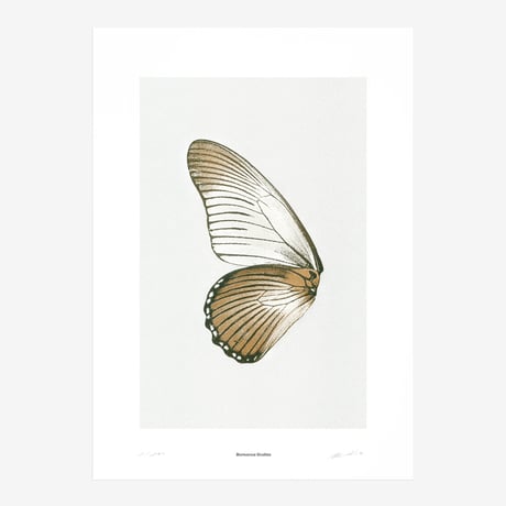 BIENVENUE STUDIOS〈LIMITED PRINTS_SUN FLUTTERING〉（5TYPES）