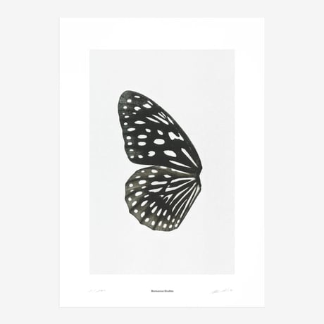 BIENVENUE STUDIOS〈LIMITED PRINTS_SUN FLUTTERING〉（5TYPES）