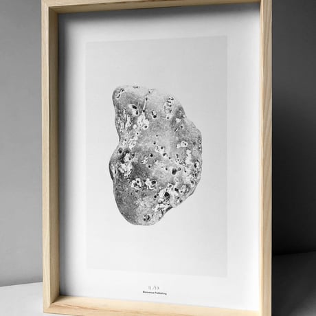 BIENVENUE STUDIOS〈WOOD FRAME_A3〉