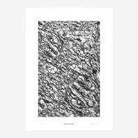BIENVENUE STUDIOS〈LIMITED PRINTS_BLACK REFLECTION〉（5TYPES）