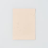 TUTONI〈A4 FOLDER〉（3PCS）