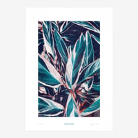 BIENVENUE STUDIOS〈LIMITED PRINTS_PRAYING HANDS〉（5TYPES）
