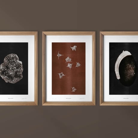 BIENVENUE STUDIOS〈LIMITED PRINTS_ORIGINS〉（5TYPES）