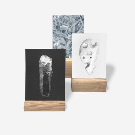 BIENVENUE STUDIOS〈WOOD CARD HOLDER_SHORT_MEDIUM〉