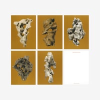 BIENVENUE STUDIOS〈SMALL PRINT COLLECTION_N° 7 VIEWING STONE〉（5PCS）