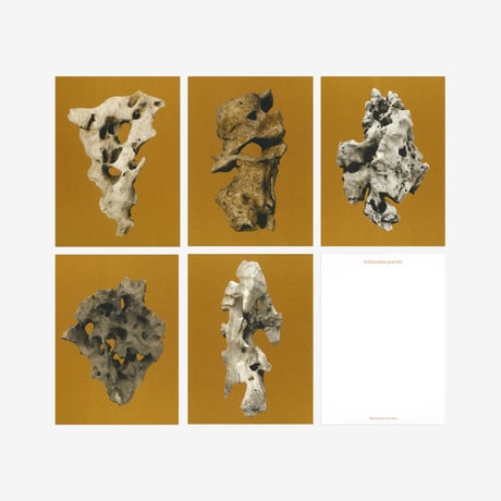 BIENVENUE STUDIOS〈SMALL PRINT COLLECTION_N° 7 VIEWING STONE〉（5PCS）