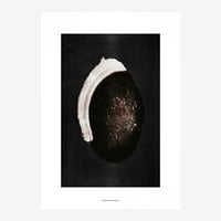 BIENVENUE STUDIOS〈LIMITED PRINTS_ORIGINS〉（5TYPES）