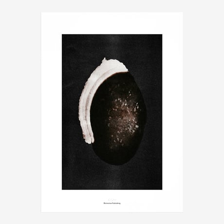 BIENVENUE STUDIOS〈LIMITED PRINTS_ORIGINS〉（5TYPES）