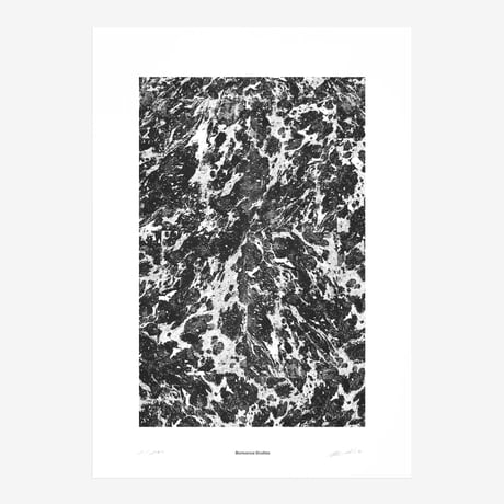 BIENVENUE STUDIOS〈LIMITED PRINTS_BLACK REFLECTION〉（5TYPES）