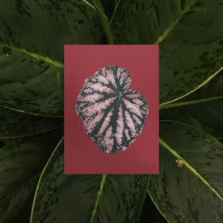 BIENVENUE STUDIOS〈SMALL PRINT COLLECTION_N° 12 LEAVES OF FRIENDSHIP〉（5PCS）