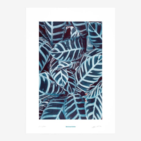 BIENVENUE STUDIOS〈LIMITED PRINTS_PRAYING HANDS〉（5TYPES）