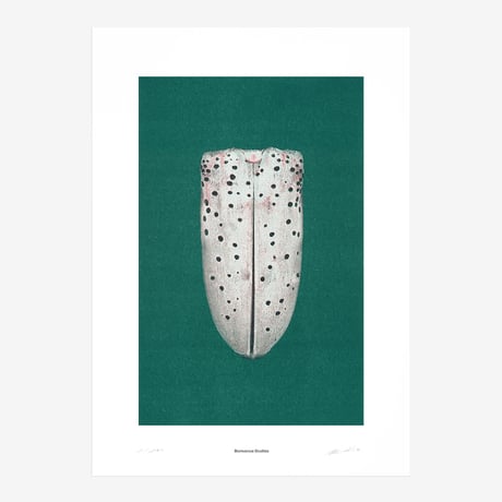 BIENVENUE STUDIOS〈LIMITED PRINTS_IRIDESCENCE〉（5TYPES）