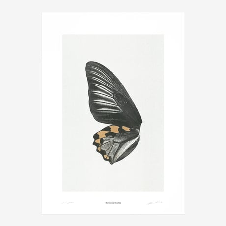 BIENVENUE STUDIOS〈LIMITED PRINTS_SUN FLUTTERING〉（5TYPES）
