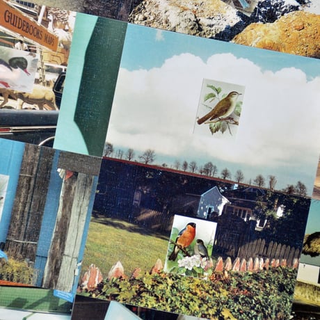 PAPIER LABO.〈POST CARD SET〉（11PCS）