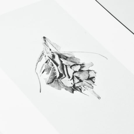 BIENVENUE STUDIOS〈ART BOOK_SILK PAGODAS〉