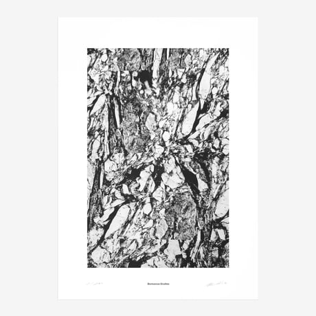 BIENVENUE STUDIOS〈LIMITED PRINTS_BLACK REFLECTION〉（5TYPES）