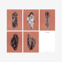 BIENVENUE STUDIOS〈SMALL PRINT COLLECTION_N° 18 VIRTUES OF WOOD〉（5PCS）