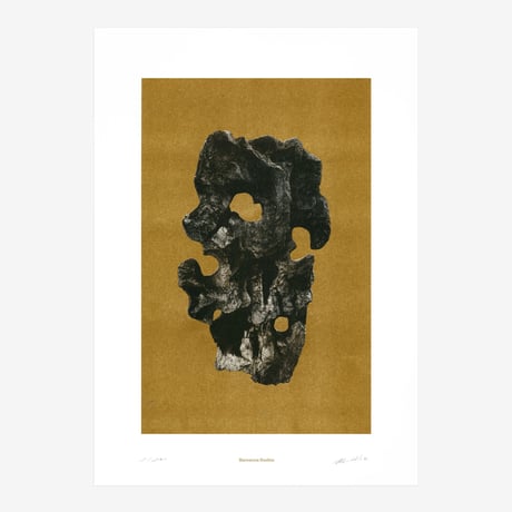 BIENVENUE STUDIOS〈LIMITED PRINTS_VIEWING STONE〉（5TYPES）