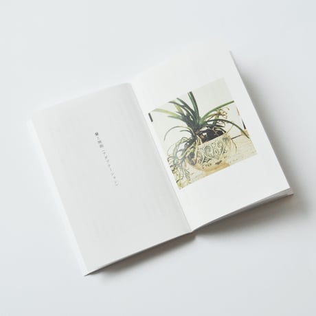 PAPIER LABO.『このごろは映画をぜんぜん観ていないのに』岡本仁 著