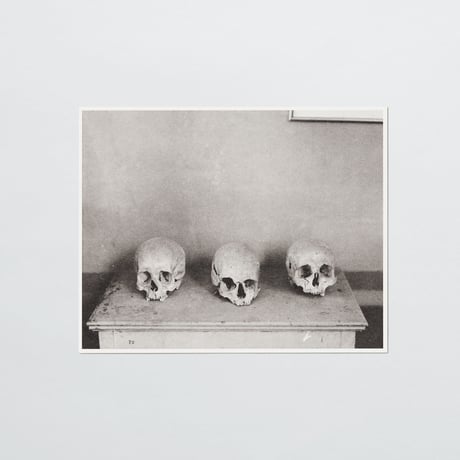 PAPIER LABO.〈COLLOTYPE PHOTOGRAPH CARD_鈴木理策〉