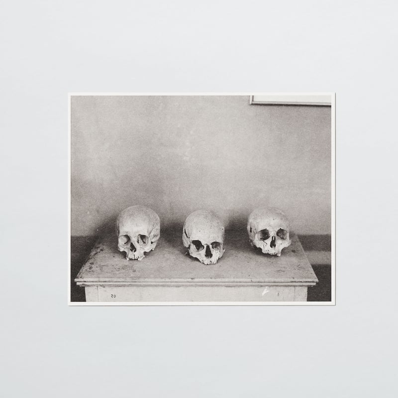 PAPIER LABO.〈COLLOTYPE PHOTOGRAPH CARD_鈴木理策〉 |