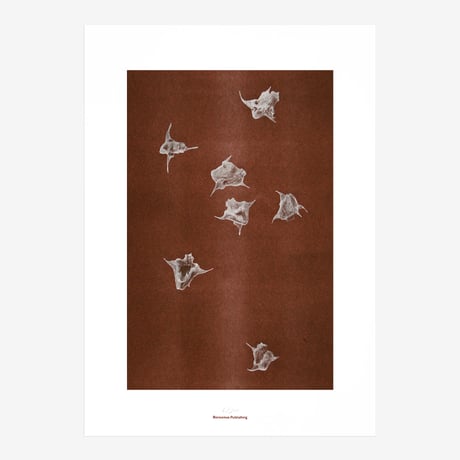 BIENVENUE STUDIOS〈LIMITED PRINTS_ORIGINS〉（5TYPES）
