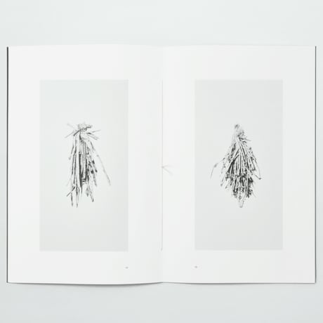 BIENVENUE STUDIOS〈ART BOOK_SILK PAGODAS〉