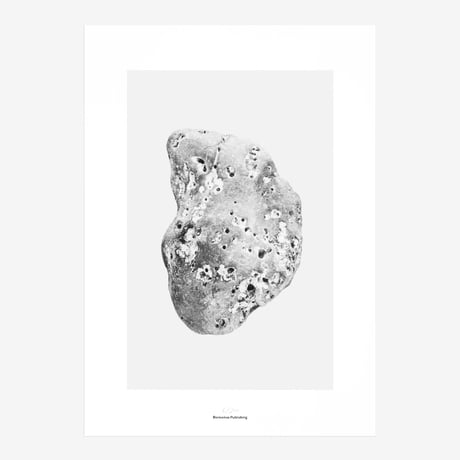BIENVENUE STUDIOS〈LIMITED PRINTS_PACIFIC MARKS〉（5TYPES）